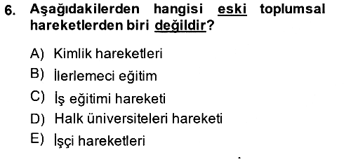 Yeni Toplumsal Hareketler 2014-2015 Dönem Sonu Sınavı - 6. soru