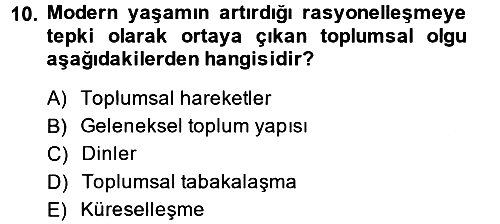 Yeni Toplumsal Hareketler 2014-2015 Dönem Sonu Sınavı - 10. soru
