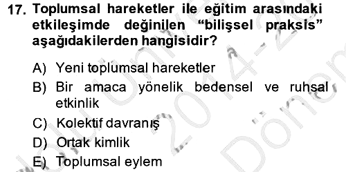 Yeni Toplumsal Hareketler 2014-2015 Dönem Sonu Sınavı - 17. soru