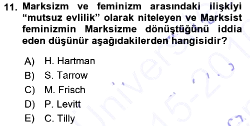 Yeni Toplumsal Hareketler 2015-2016 Dönem Sonu Sınavı - 11. soru