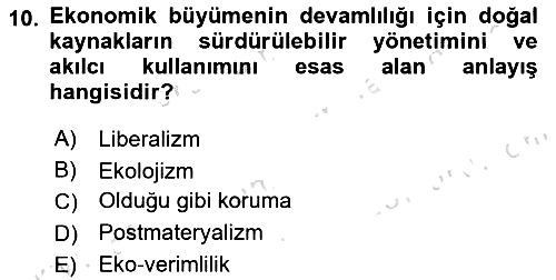 Yeni Toplumsal Hareketler 2021-2022 Dönem Sonu Sınavı - 10. soru