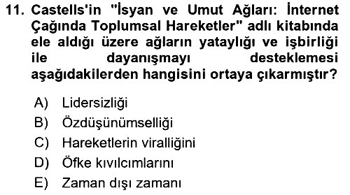 Yeni Toplumsal Hareketler 2021-2022 Dönem Sonu Sınavı - 11. soru
