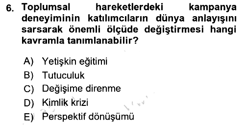 Yeni Toplumsal Hareketler 2023-2024 Dönem Sonu Sınavı - 6. soru
