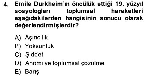 Yeni Toplumsal Hareketler 2013-2014 Tek Ders Sınavı - 4. soru