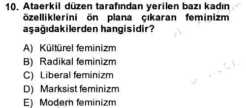 Yeni Toplumsal Hareketler 2013-2014 Tek Ders Sınavı - 10. soru
