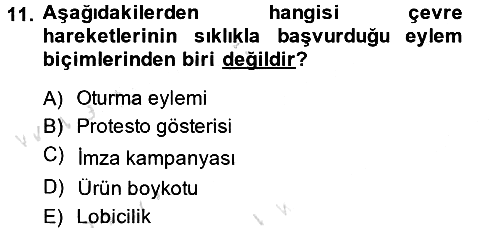 Yeni Toplumsal Hareketler 2014-2015 Tek Ders Sınavı - 11. soru