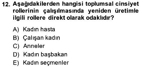 Yeni Toplumsal Hareketler 2014-2015 Tek Ders Sınavı - 12. soru
