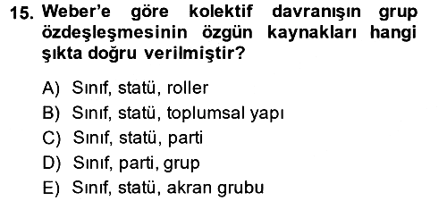 Yeni Toplumsal Hareketler 2014-2015 Tek Ders Sınavı - 15. soru