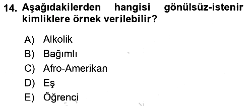 Yeni Toplumsal Hareketler 2021-2022 Yaz Okulu Sınavı - 14. soru