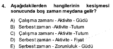 Eğlence Pazarlaması 2013-2014 Ara Sınav - 4. soru