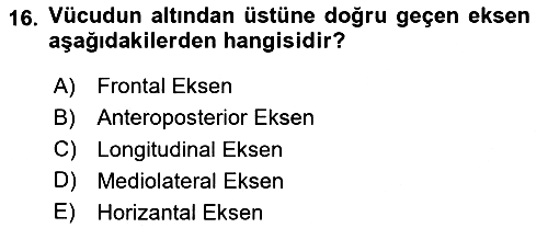 Spor Bilimlerine Giriş 2024-2025 Ara Sınav - 16. soru