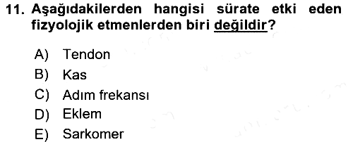 Spor Bilimlerine Giriş 2016-2017 Dönem Sonu Sınavı - 11. soru