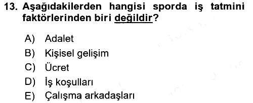 Spor Yönetimi 2017-2018 Ara Sınav - 13. soru