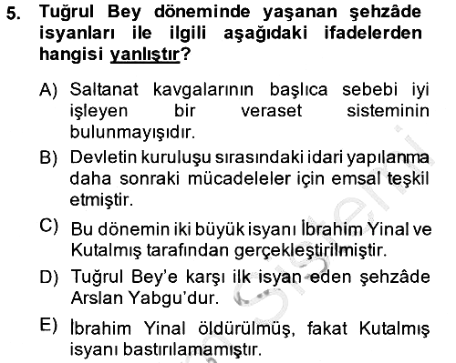 Büyük Selçuklu Tarihi 2013-2014 Ara Sınav - 5. soru