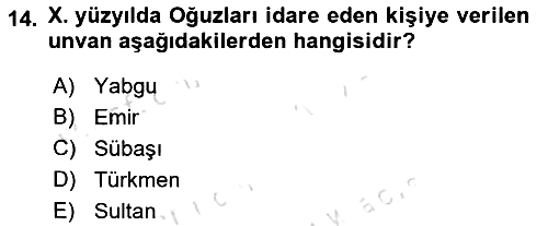 Büyük Selçuklu Tarihi 2021-2022 Ara Sınav - 14. soru