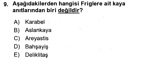 Eski Anadolu Tarihi 2016-2017 Dönem Sonu Sınavı - 9. soru