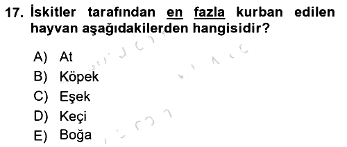 Eski Anadolu Tarihi 2020-2021 Yaz Okulu Sınavı - 17. soru