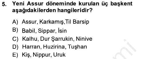 Eski Mezopotamya ve Mısır Tarihi 2013-2014 Dönem Sonu Sınavı - 5. soru
