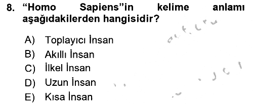Eski Mezopotamya ve Mısır Tarihi 2018-2019 Yaz Okulu Sınavı - 8. soru