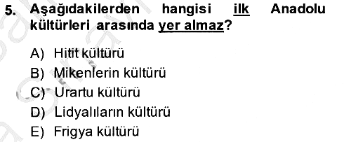Kültür Tarihi 2013-2014 Ara Sınav - 5. soru