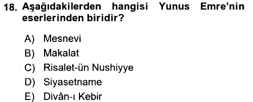 Kültür Tarihi 2015-2016 Ara Sınav - 18. soru