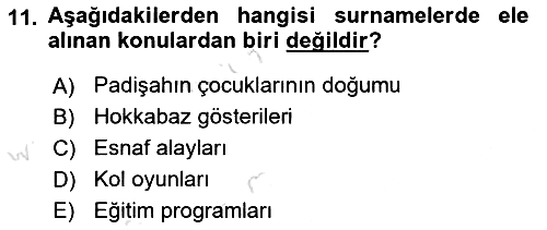 Kültür Tarihi 2023-2024 Yaz Okulu Sınavı - 11. soru