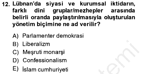 Modern Ortadoğu Tarihi 2014-2015 Ara Sınav - 12. soru