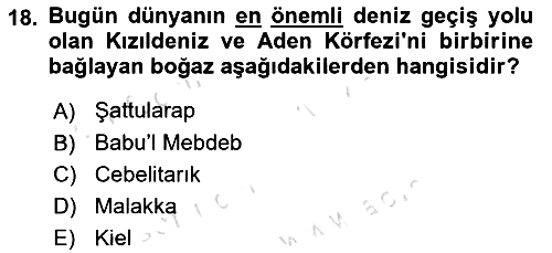 Modern Ortadoğu Tarihi 2021-2022 Ara Sınav - 18. soru