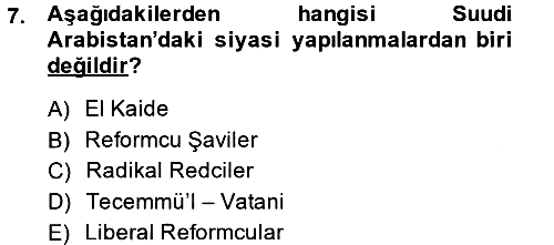 Modern Ortadoğu Tarihi 2013-2014 Dönem Sonu Sınavı - 7. soru