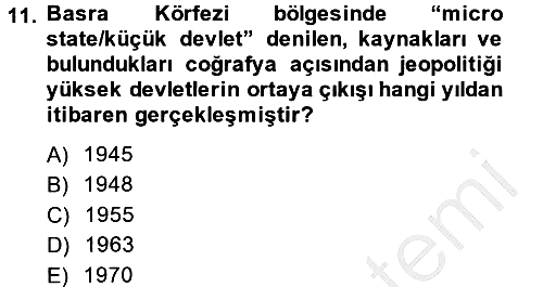 Modern Ortadoğu Tarihi 2013-2014 Dönem Sonu Sınavı - 11. soru