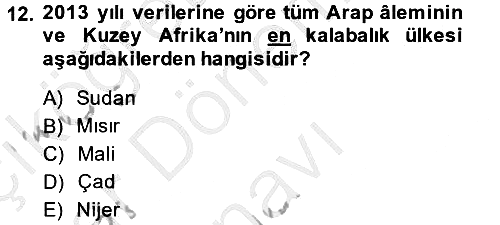 Modern Ortadoğu Tarihi 2013-2014 Dönem Sonu Sınavı - 12. soru