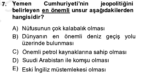 Modern Ortadoğu Tarihi 2014-2015 Dönem Sonu Sınavı - 7. soru