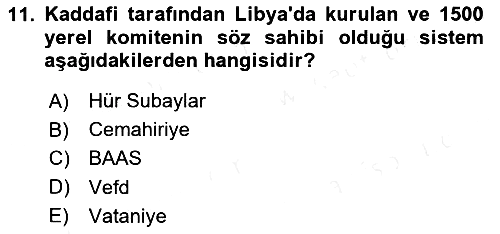 Modern Ortadoğu Tarihi 2018-2019 Dönem Sonu Sınavı - 11. soru