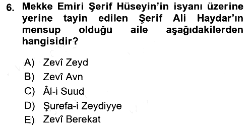 Modern Ortadoğu Tarihi 2015-2016 Tek Ders Sınavı - 6. soru