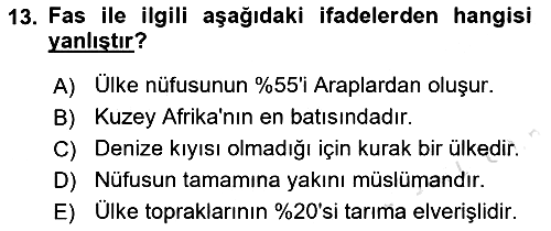 Modern Ortadoğu Tarihi 2021-2022 Yaz Okulu Sınavı - 13. soru