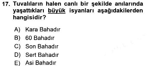 Orta Asya Türk Tarihi 2017-2018 Dönem Sonu Sınavı - 17. soru