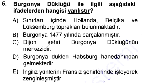 Ortaçağ-Yeniçağ Avrupa Tarihi 2012-2013 Dönem Sonu Sınavı - 5. soru