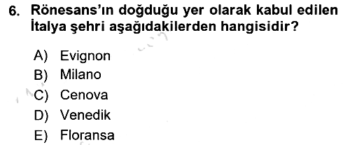 Ortaçağ-Yeniçağ Avrupa Tarihi 2022-2023 Yaz Okulu Sınavı - 6. soru
