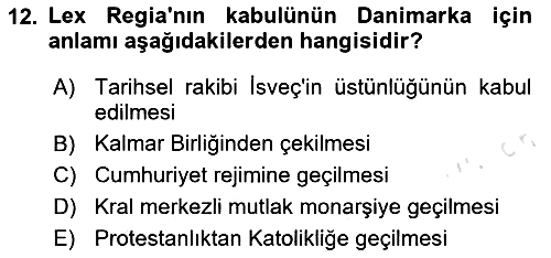 Ortaçağ-Yeniçağ Avrupa Tarihi 2024-2025 Yaz Okulu Sınavı - 12. soru