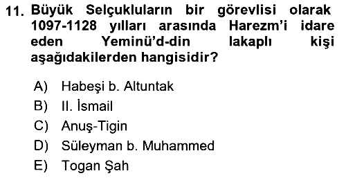 Ortaçağ ve Yeniçağ Türk Devletleri 2018-2019 Ara Sınav - 11. soru