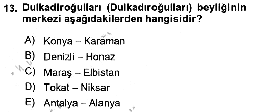 Osmanlı Tarihi (1300-1566) 2018-2019 Yaz Okulu Sınavı - 13. soru