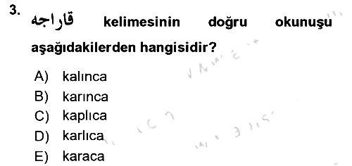 Osmanlı Türkçesi 1 2024-2025 Yaz Okulu Sınavı - 3. soru