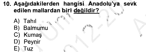 Rusya Tarihi 2012-2013 Ara Sınav - 10. soru