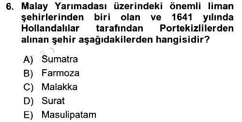 Sömürgecilik Tarihi (Avrupa-Amerika) 2016-2017 Ara Sınav - 6. soru