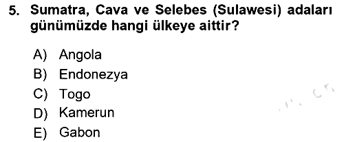 Sömürgecilik Tarihi (Avrupa-Amerika) 2020-2021 Yaz Okulu Sınavı - 5. soru