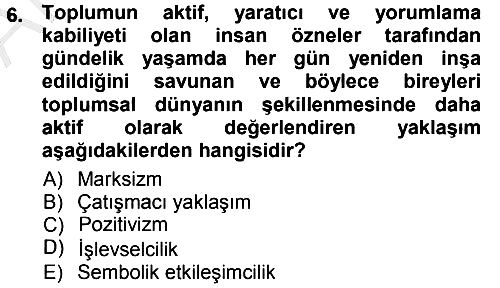 Sosyolojiye Giriş 2012-2013 Ara Sınav - 6. soru