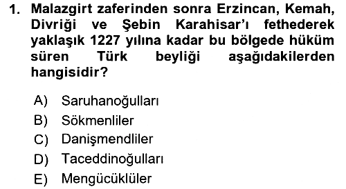 Türkiye Selçuklu Tarihi 2017-2018 Ara Sınav - 1. soru