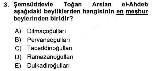 Türkiye Selçuklu Tarihi 2018-2019 Ara Sınav - 3. soru