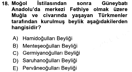 Türkiye Selçuklu Tarihi 2016-2017 Dönem Sonu Sınavı - 18. soru