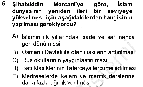 XIX. Yüzyıl Türk Dünyası 2013-2014 Ara Sınav - 5. soru